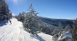 Borovets Ski Run